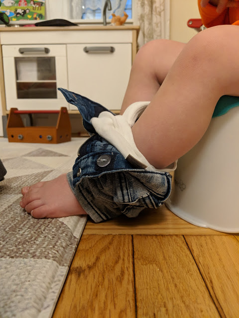 Potty Training